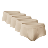 Organic Linen Brief: 5-Pack